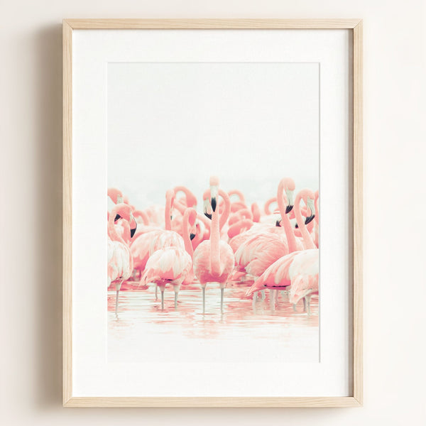 Pink Flamingos - Framed Art
