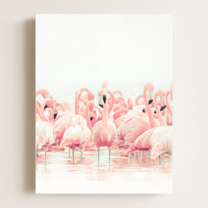 Pink Flamingos