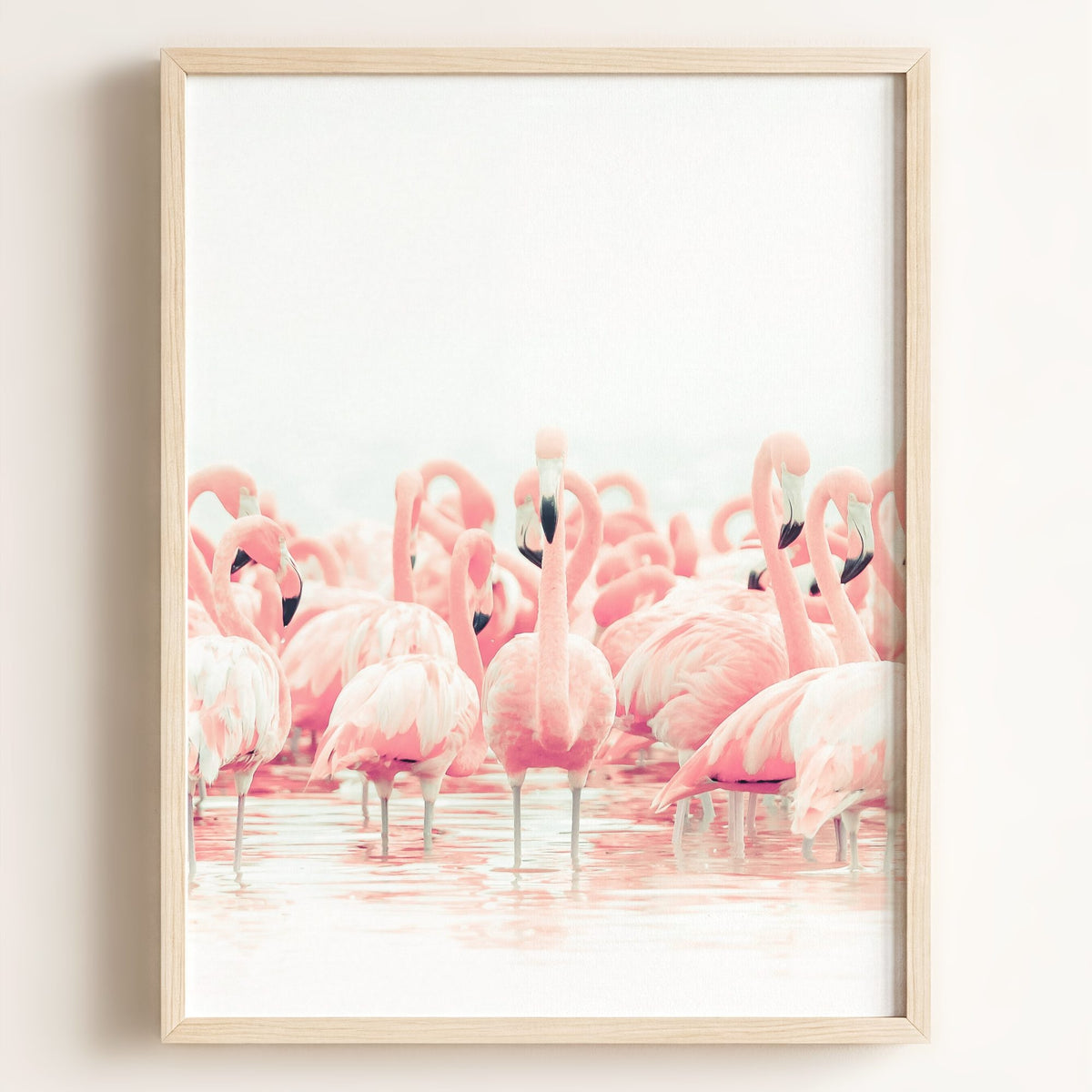 Pink Flamingos — Framed