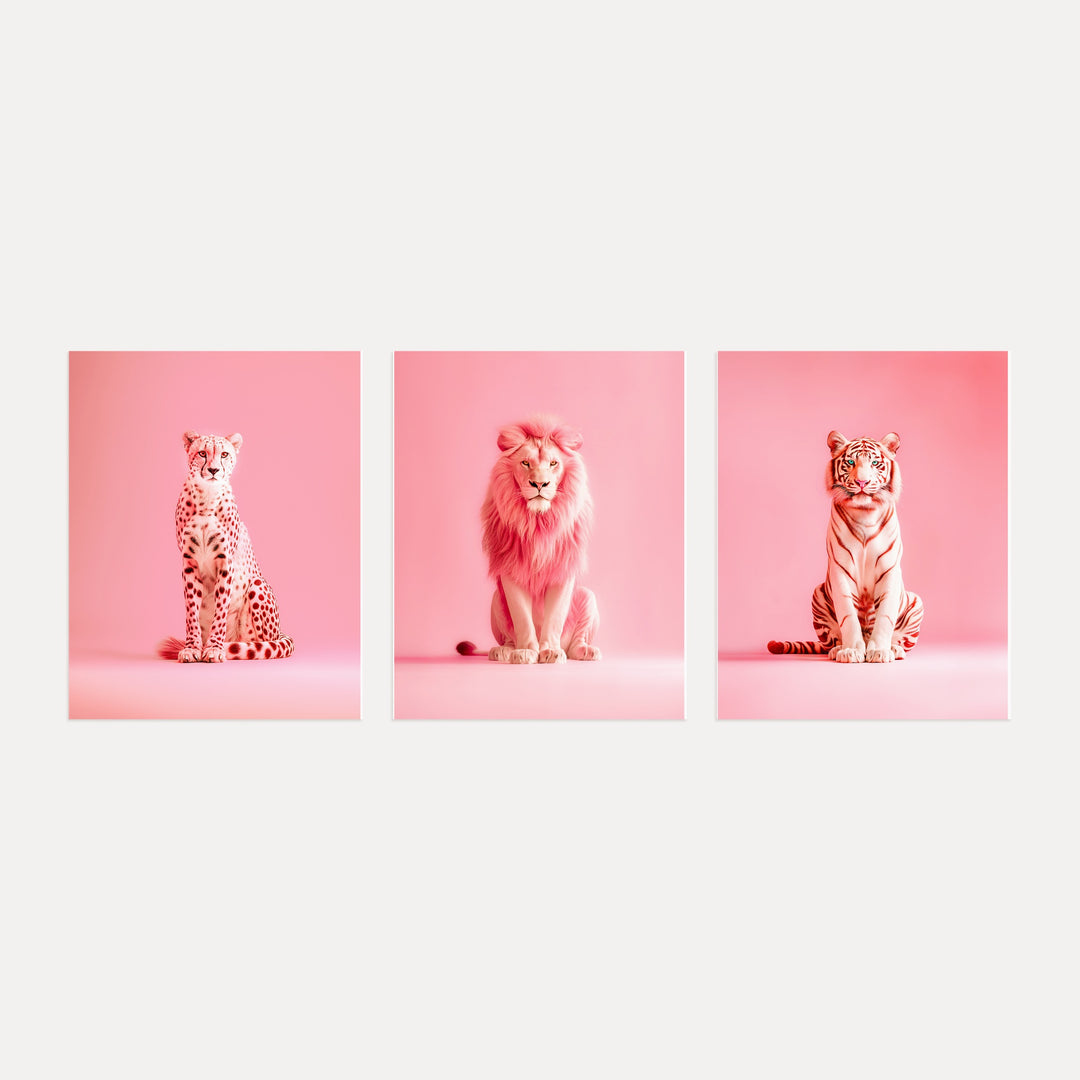 Pink Wild Cat Portraits Set of 3 Art Prints