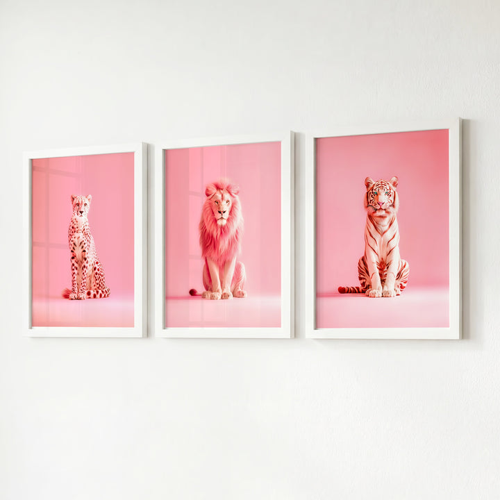 Pink Wild Cat Portraits Set of 3 Art Prints