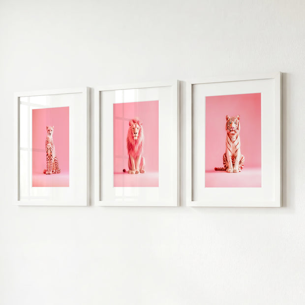 Pink Wild Cat Portraits Set of 3 Art Prints