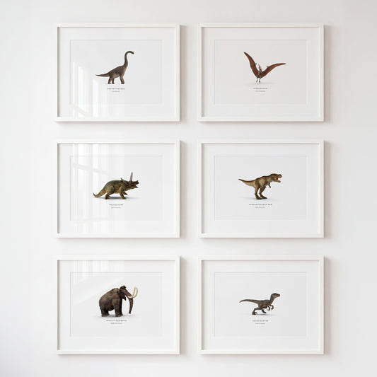 Prehistoric Creatures & Dinosaurs Set of 6 Boy Room Decor Prints — Framed