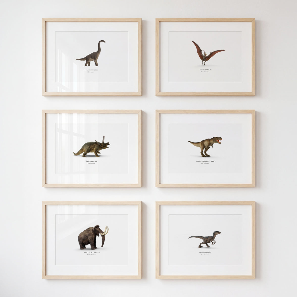 Prehistoric Creatures & Dinosaurs Set of 6 Boy Room Decor Prints — Framed