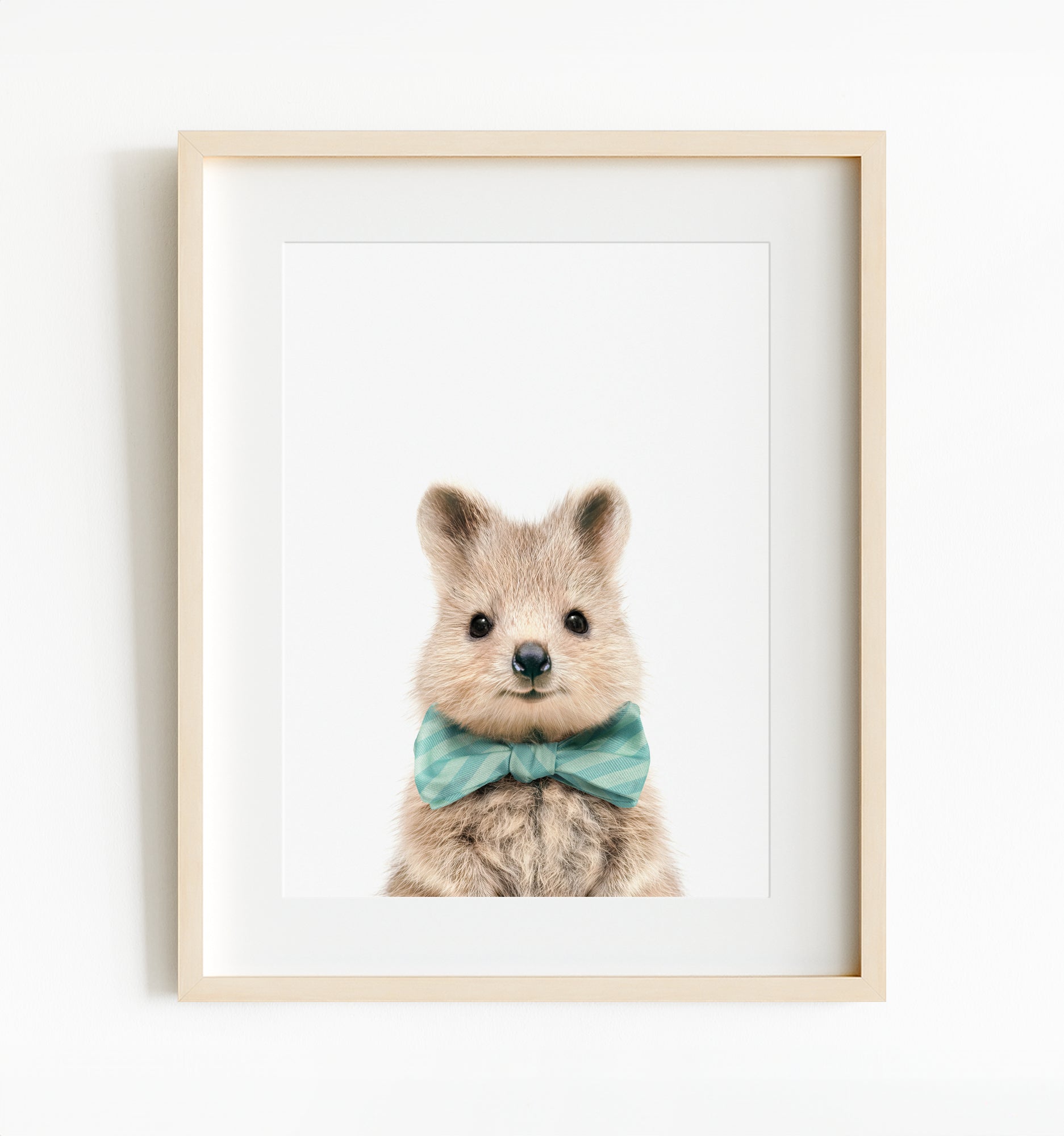 quokka_bowtie____frame_ikea-