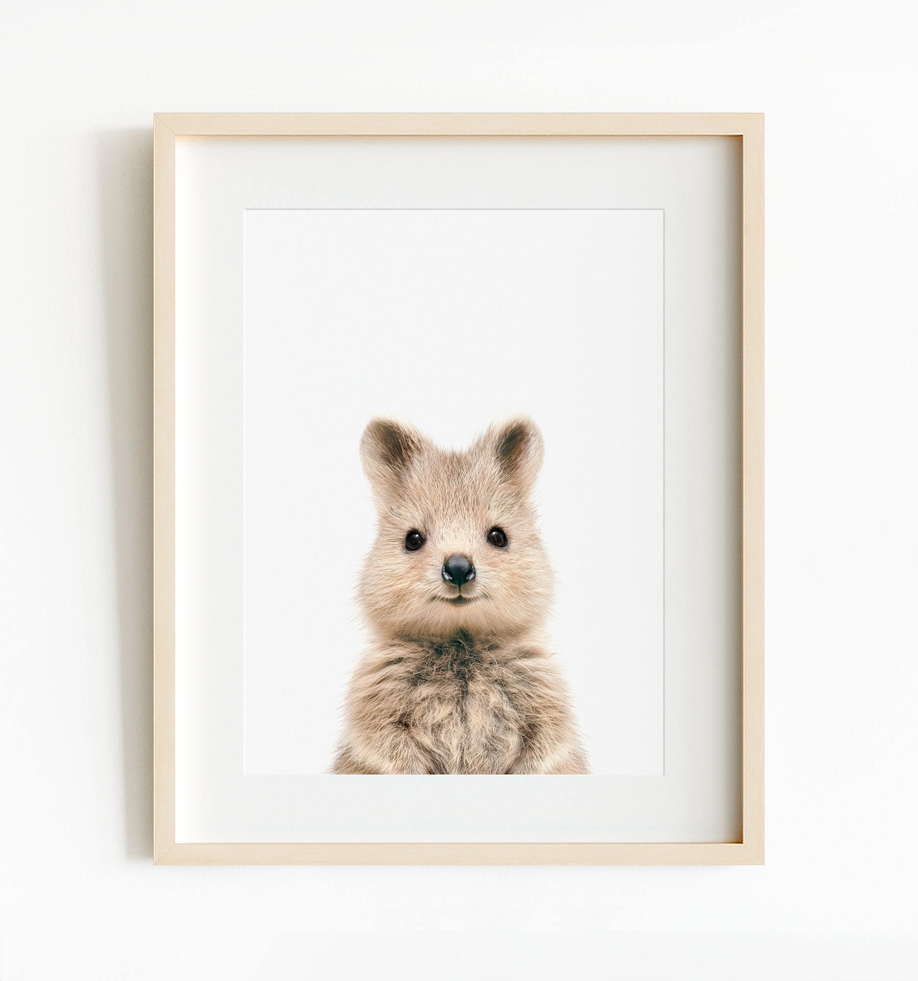 Baby Quokka - Classic · Printable Art Package - The Crown Prints