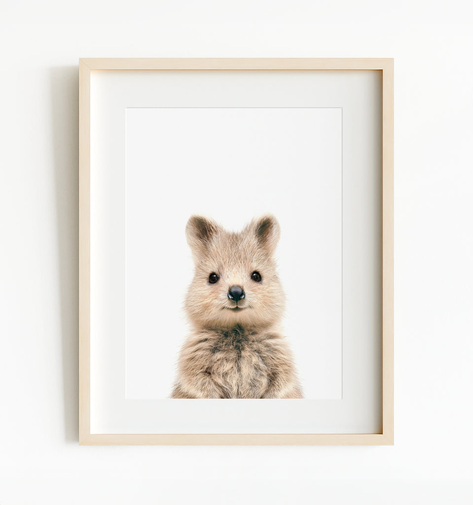 quokka_classic____frame_ikea-