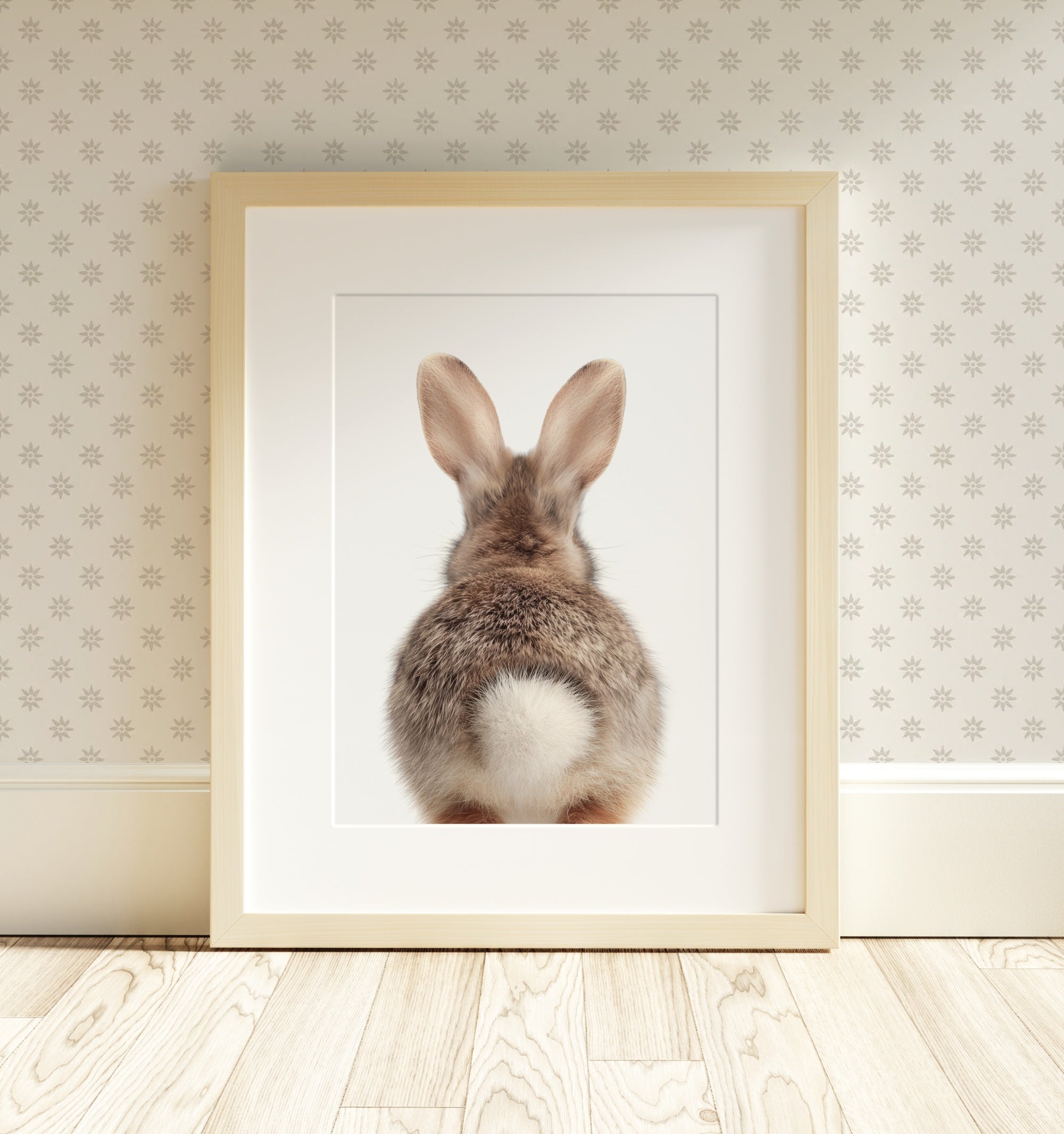 The Baby Animals 2026 Collection - Classic