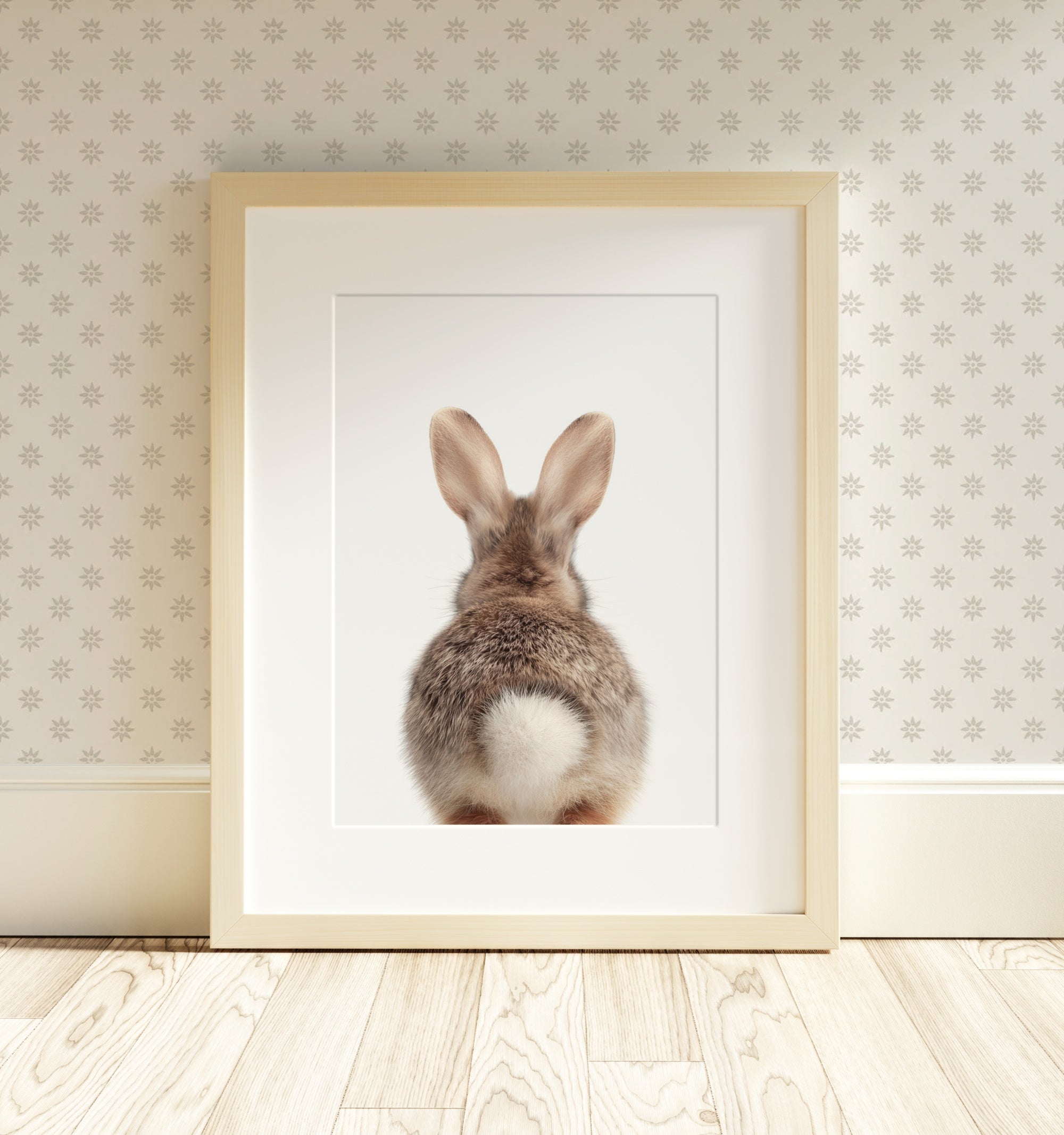 The Baby Animals 2026 Collection - Classic