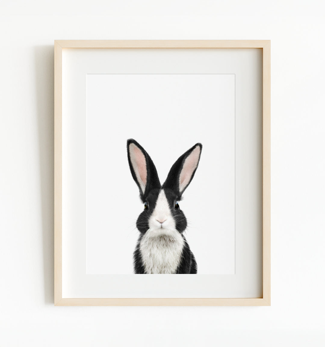 Baby Dutch Rabbit – The Crown Prints