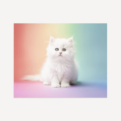Rainbow Kitty