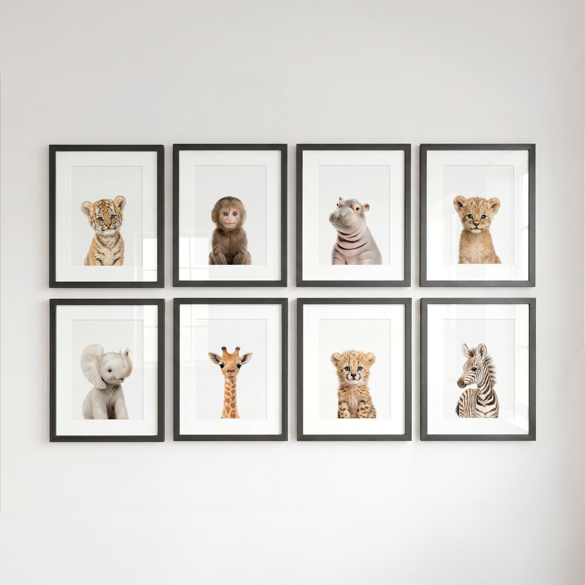 Safari Animals - Set of 8 baby animals - Africa & Asia - Nursery Art Prints