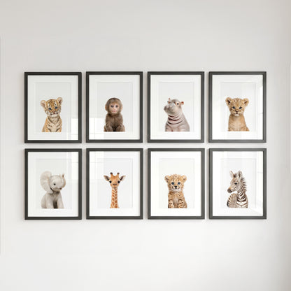 Safari Animals - Set of 8 baby animals - Africa & Asia - Nursery Art Prints