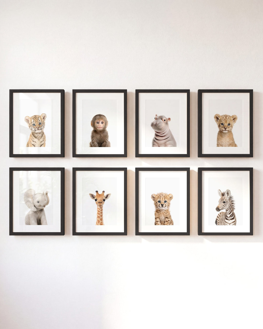 Safari Animals - Set of 8 baby animals - Africa &amp; Asia - Nursery Art Prints