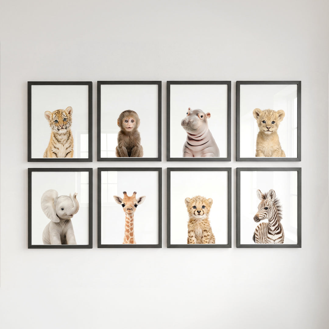 Safari Animals - Set of 8 baby animals - Africa & Asia - Nursery Art Prints