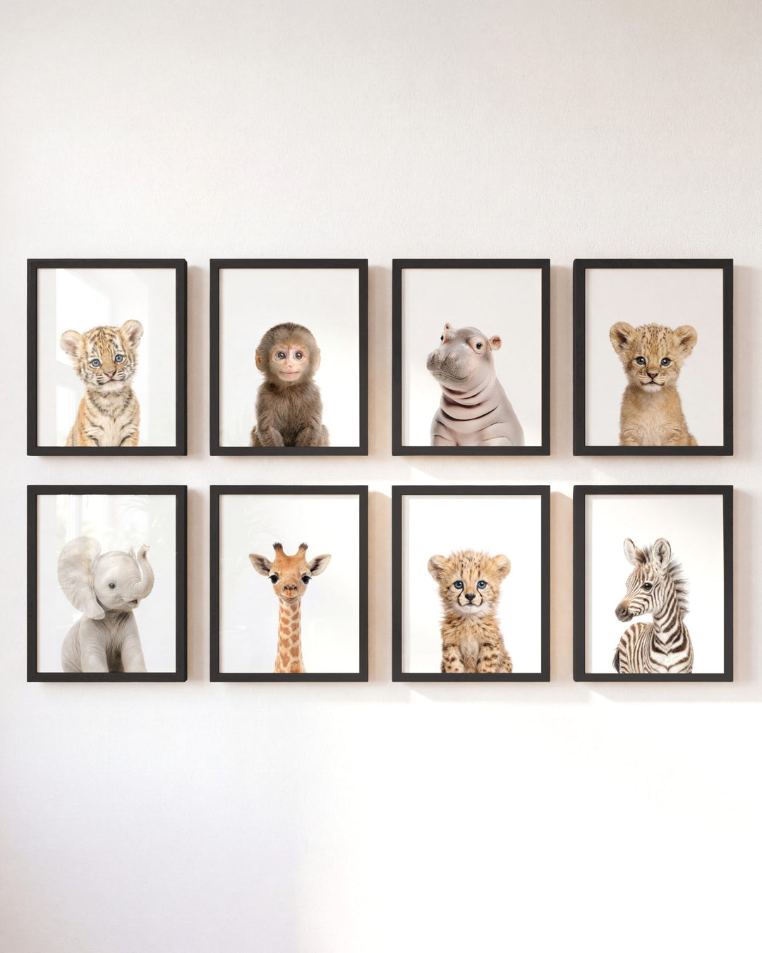 Safari Animals - Set of 8 baby animals - Africa &amp; Asia - Nursery Art Prints