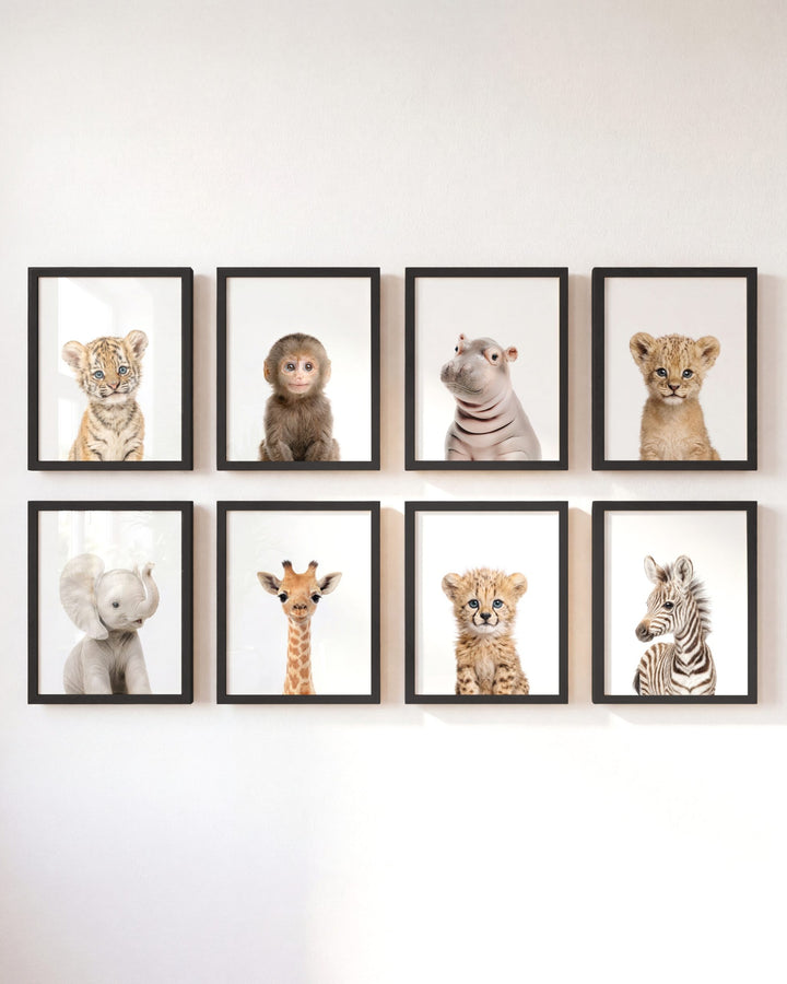 Safari Animals - Set of 8 baby animals - Africa & Asia - Nursery Art Prints