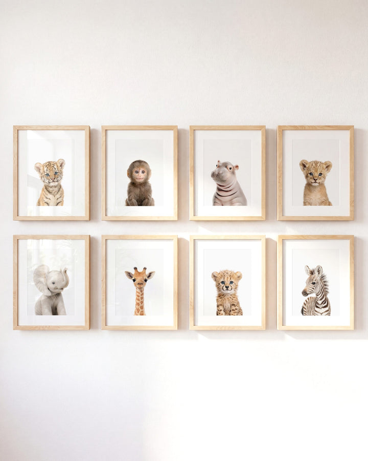 Safari Animals - Set of 8 baby animals - Africa & Asia - Nursery Art Prints