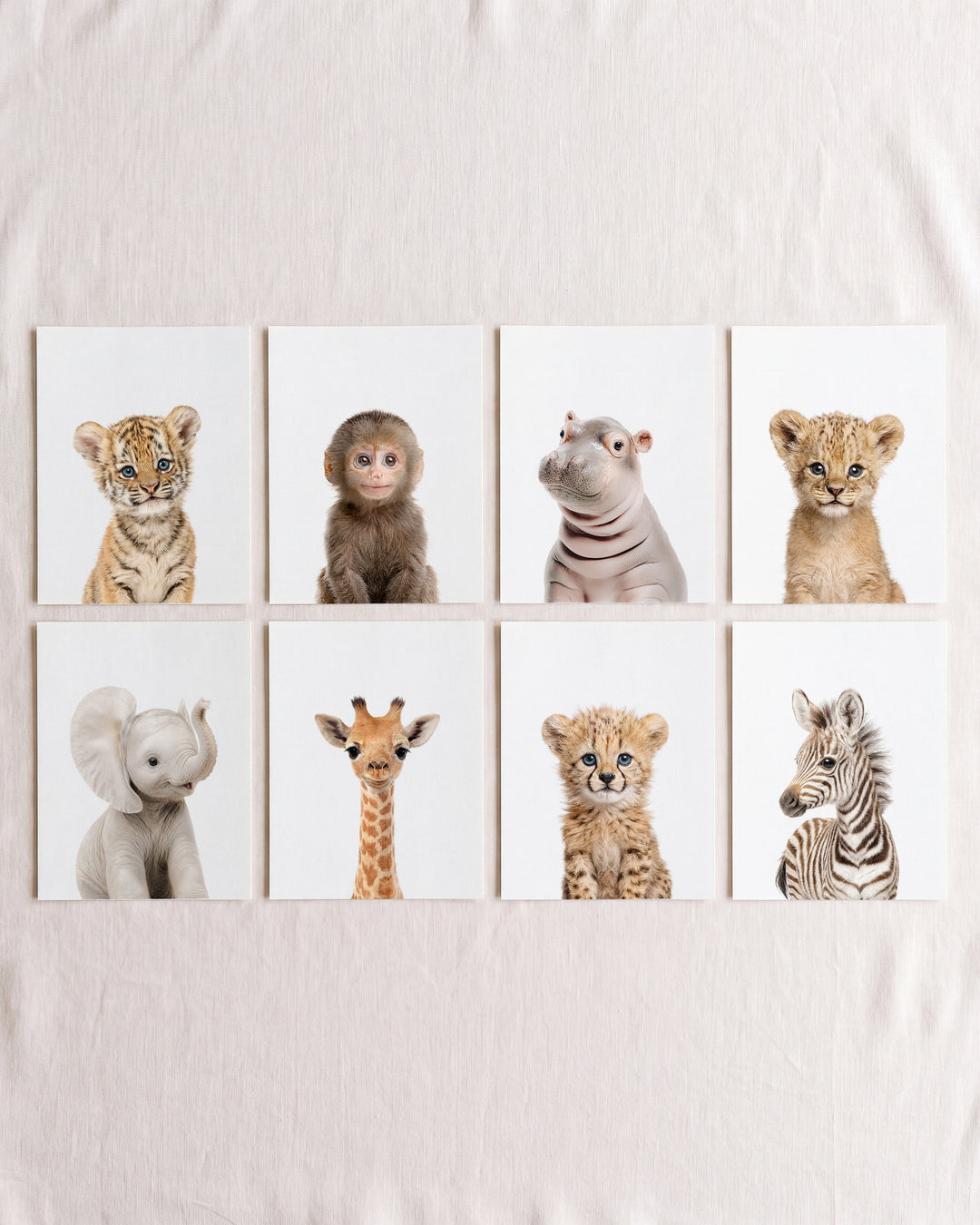 Safari Animals - Set of 8 baby animals - Africa &amp; Asia - Nursery Art Prints
