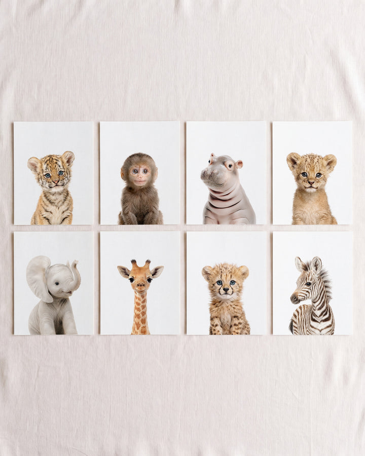 Safari Animals - Set of 8 baby animals - Africa & Asia - Nursery Art Prints