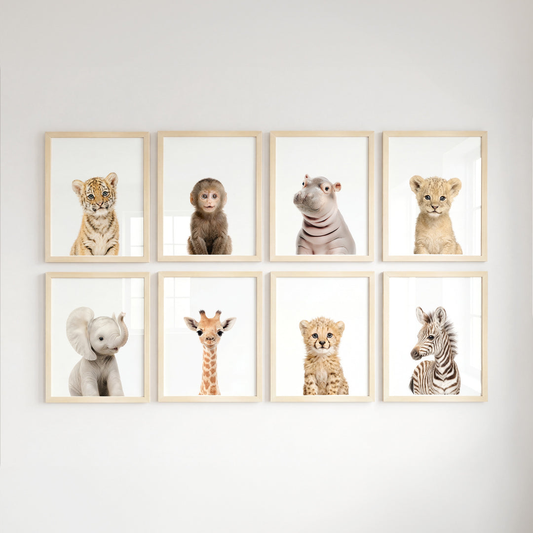 Safari Animals - Set of 8 baby animals - Africa & Asia - Nursery Art Prints