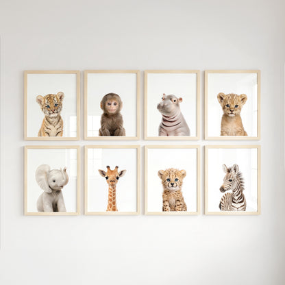 Safari Animals - Set of 8 baby animals - Africa & Asia - Nursery Art Prints