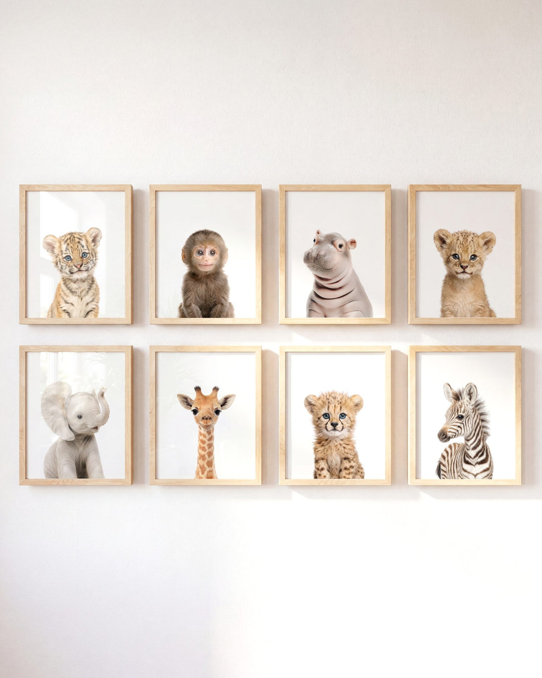 Safari Animals - Set of 8 baby animals - Africa &amp; Asia - Nursery Art Prints