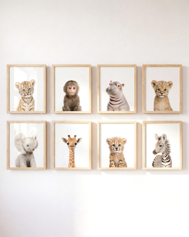Safari Animals - Set of 8 baby animals - Africa & Asia - Nursery Art Prints