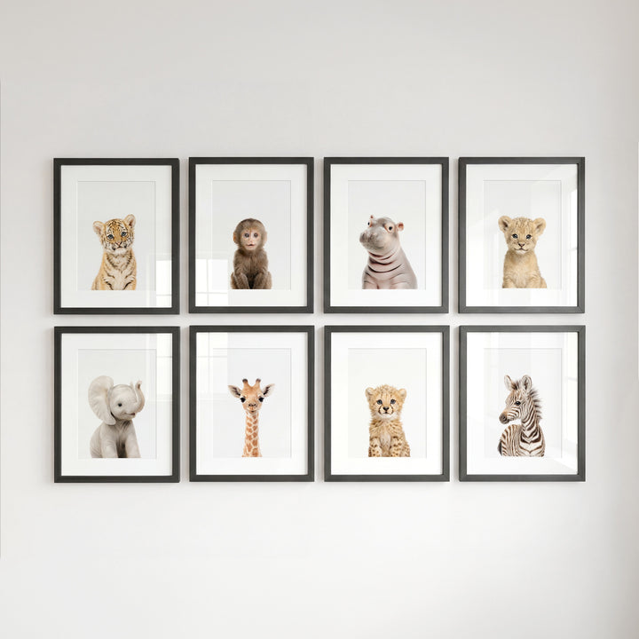 Safari Animals - Set of 8 baby animals - Africa & Asia - Nursery Art Prints