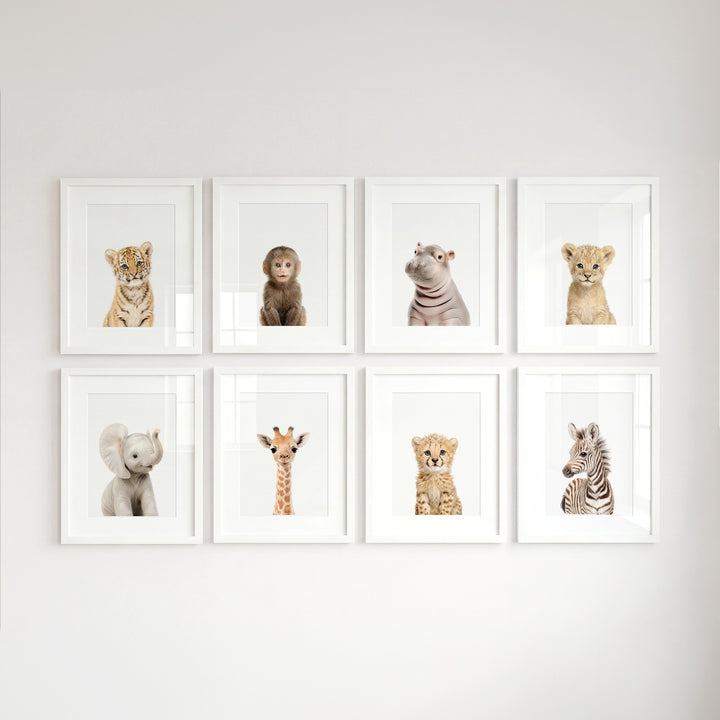Safari Animals - Set of 8 baby animals - Africa & Asia - Nursery Art Prints