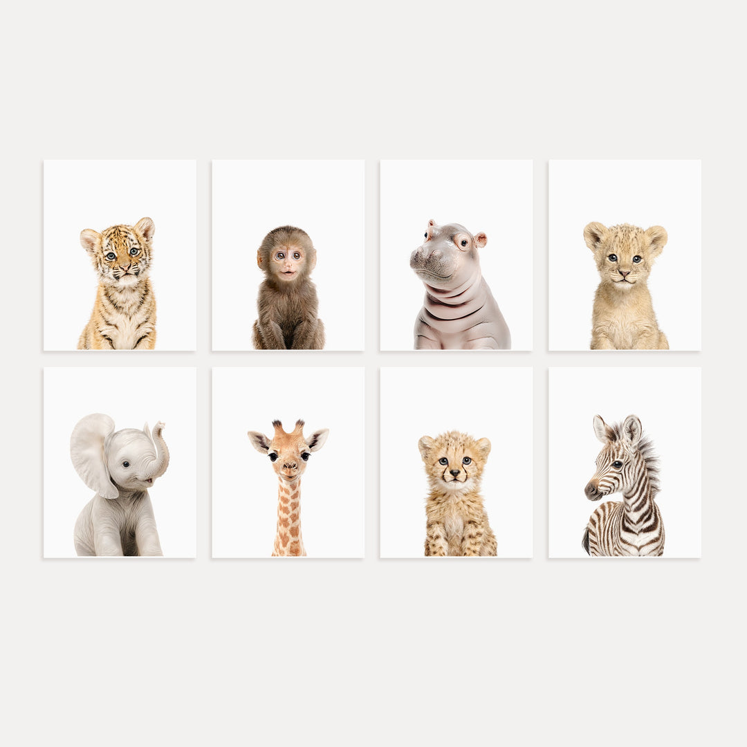 Safari Animals - Set of 8 baby animals - Africa & Asia - Nursery Art Prints