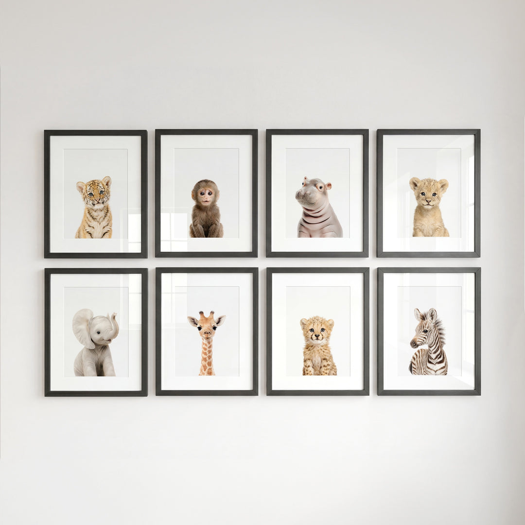 Safari Animals - Set of 8 baby animals - Africa & Asia - Nursery Art Prints