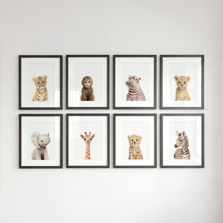 Safari Animals - Set of 8 baby animals - Africa & Asia - Nursery Art Prints