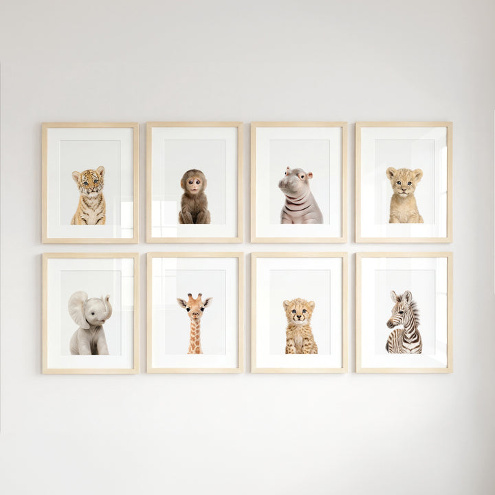 Safari Animals - Set of 8 baby animals - Africa & Asia - Nursery Art Prints