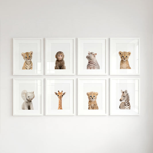 Safari Animals - Set of 8 baby animals - Africa & Asia - Nursery Art Prints