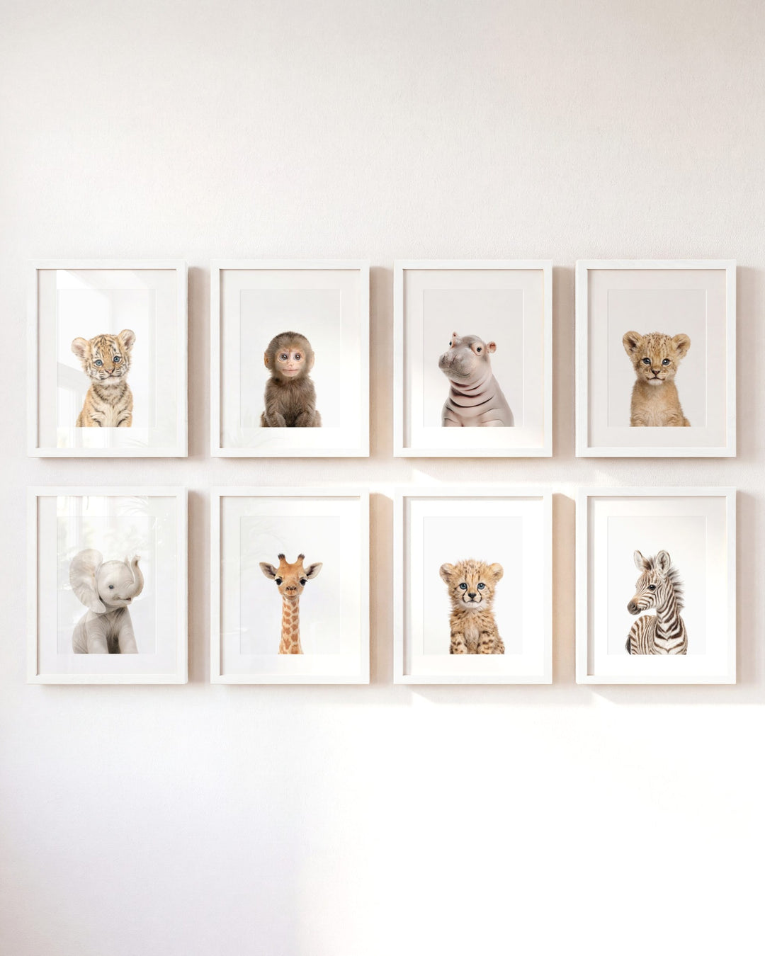 Safari Animals - Set of 8 baby animals - Africa &amp; Asia - Nursery Art Prints