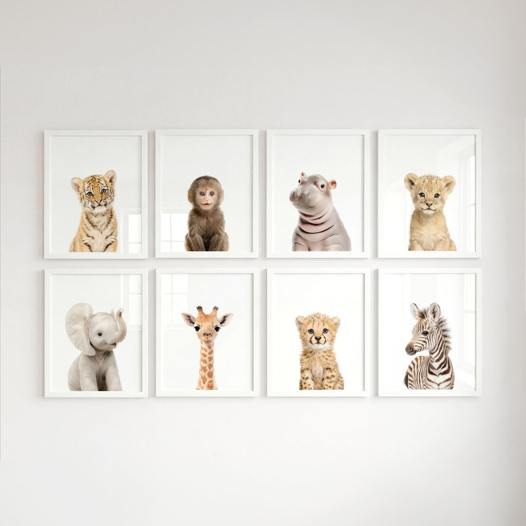 Safari Animals - Set of 8 baby animals - Africa & Asia - Nursery Art Prints
