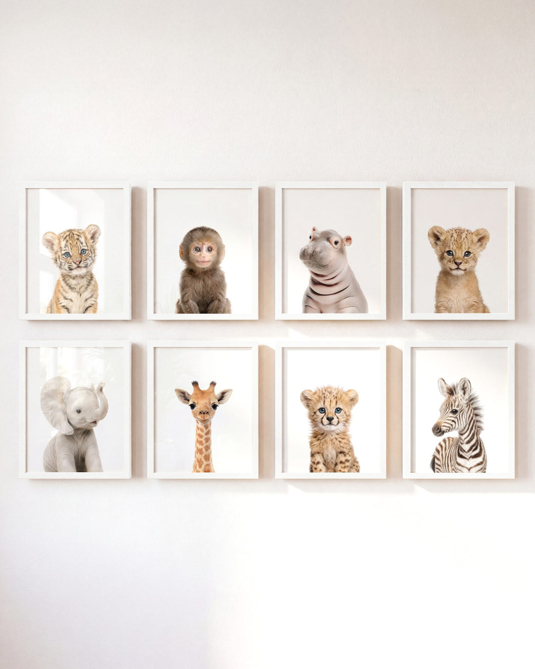 Safari Animals - Set of 8 baby animals - Africa &amp; Asia - Nursery Art Prints