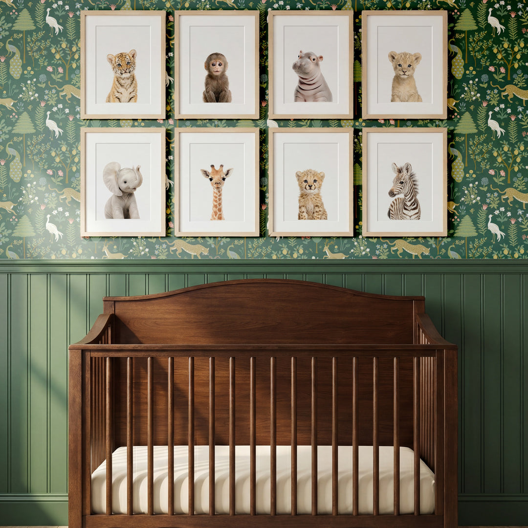 Safari Animals - Set of 8 baby animals - Africa & Asia - Nursery Art Prints