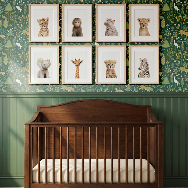 Safari Animals - Set of 8 baby animals - Africa & Asia - Nursery Art Prints