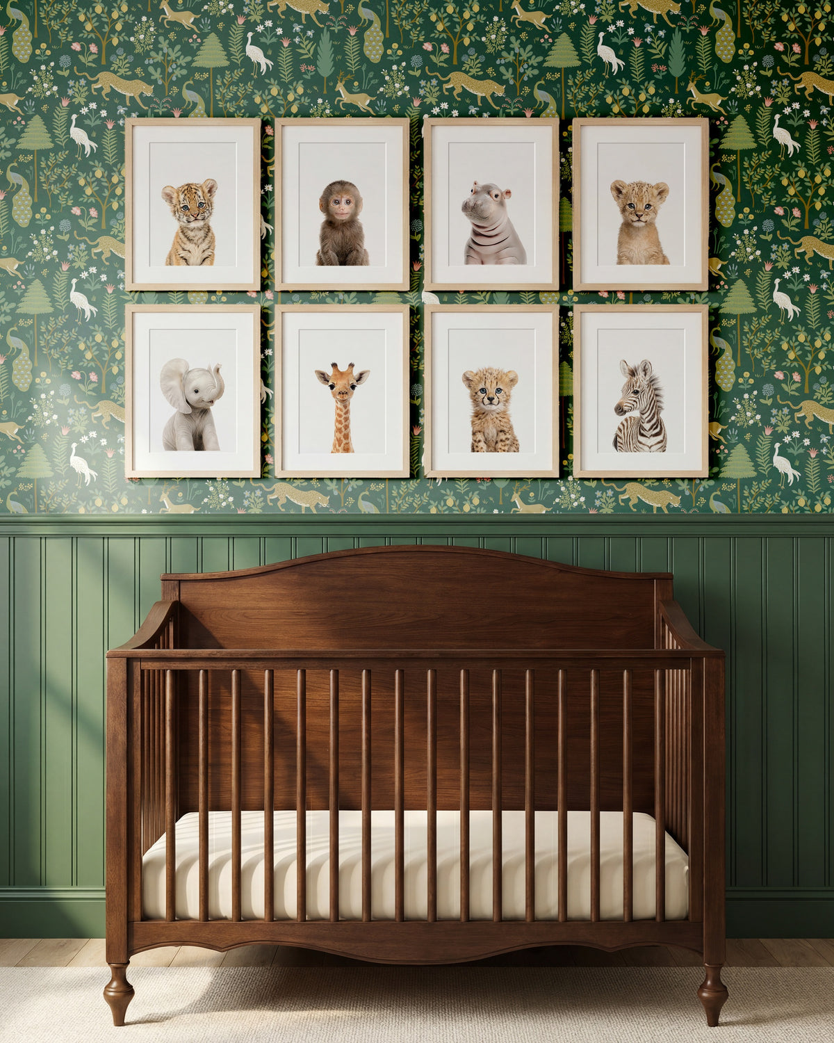 Safari Animals - Set of 8 baby animals - Africa & Asia - Nursery Art Prints