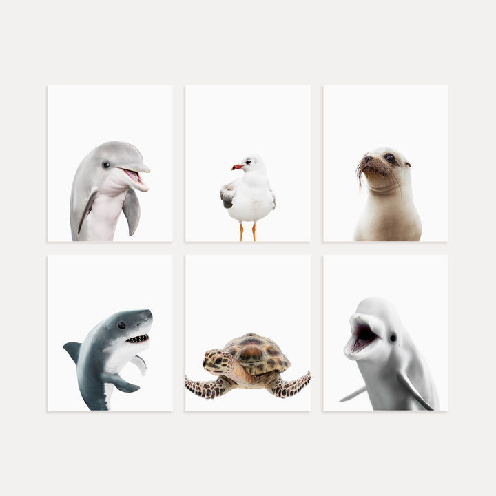 Sea Animals Set of 6 Nursery Decor Art Prints