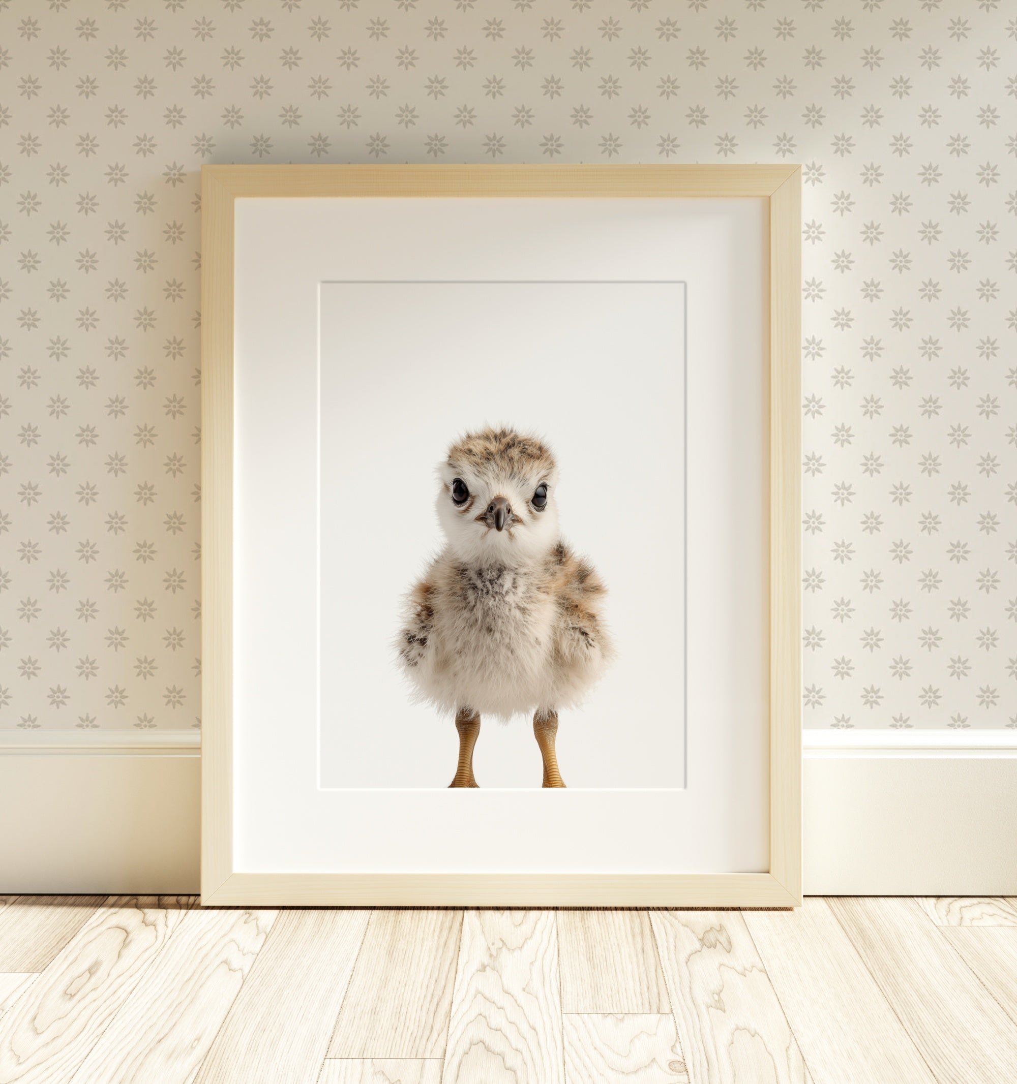 The Baby Animals 2026 Collection - Classic