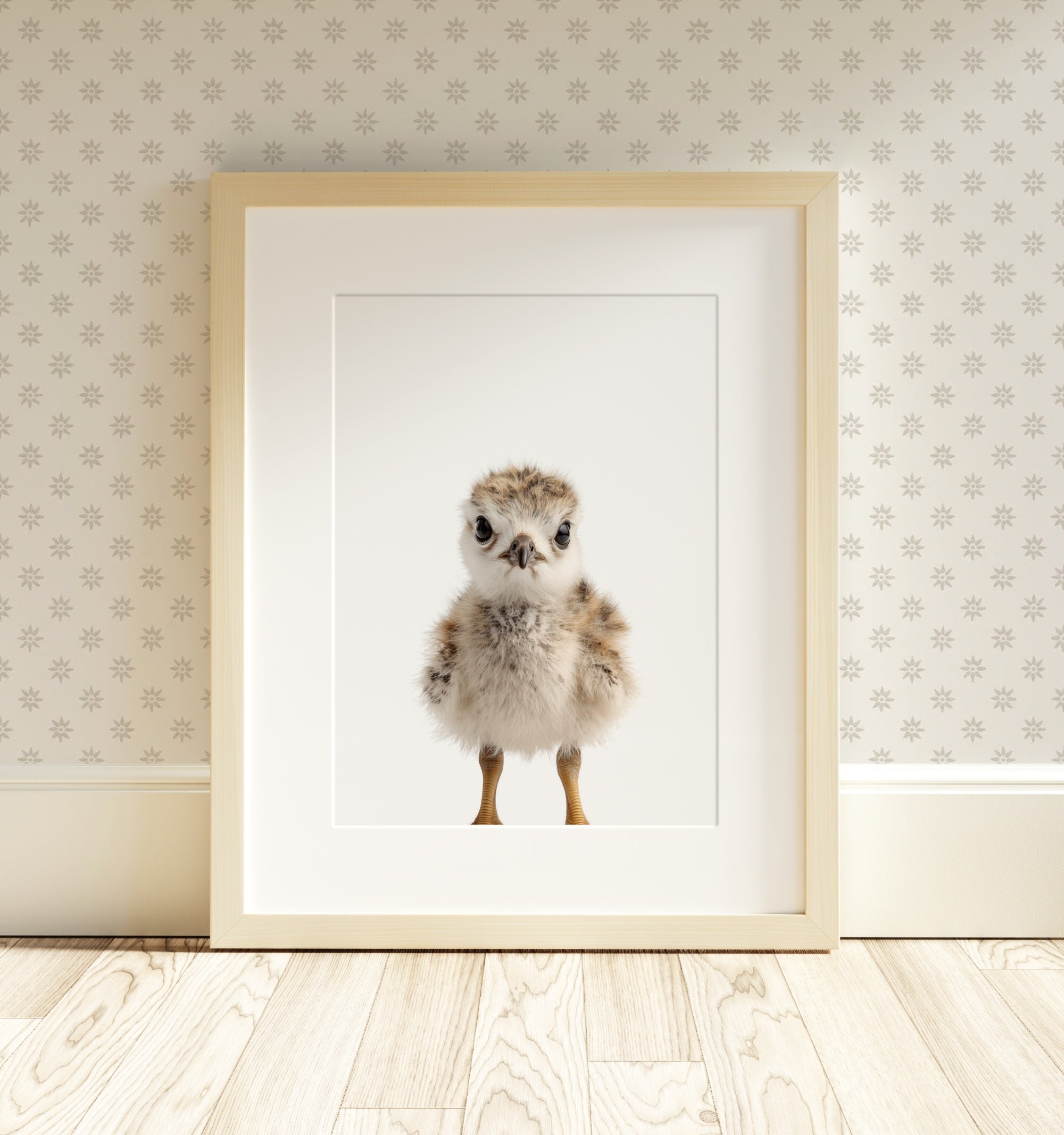 The Baby Animals 2026 Collection - Classic