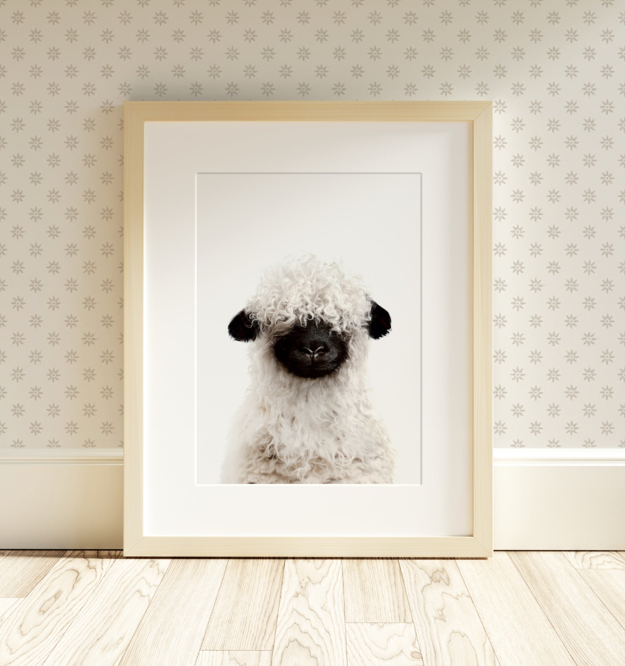 The Baby Animals 2026 Collection - Classic