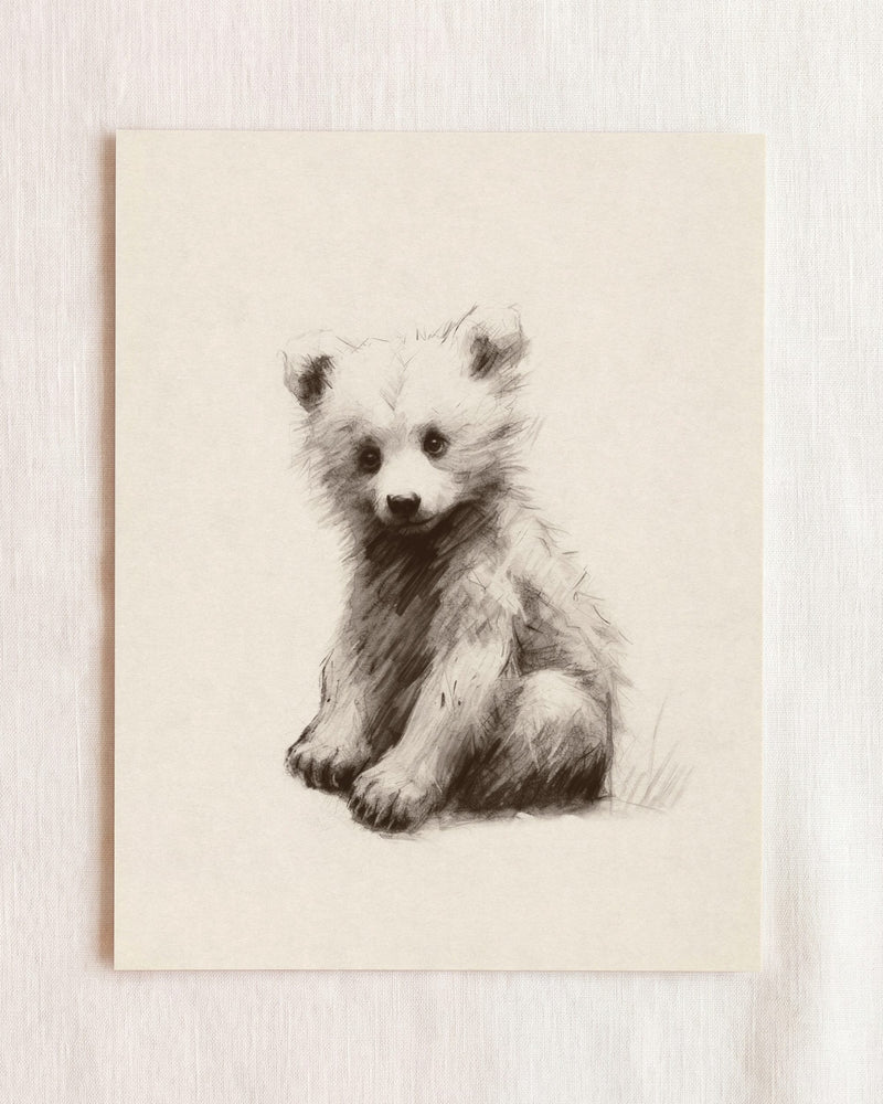 Bear