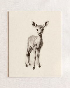 Sketchbook Animals Collection