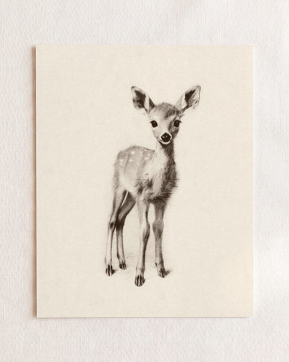 Sketchbook Animals Collection