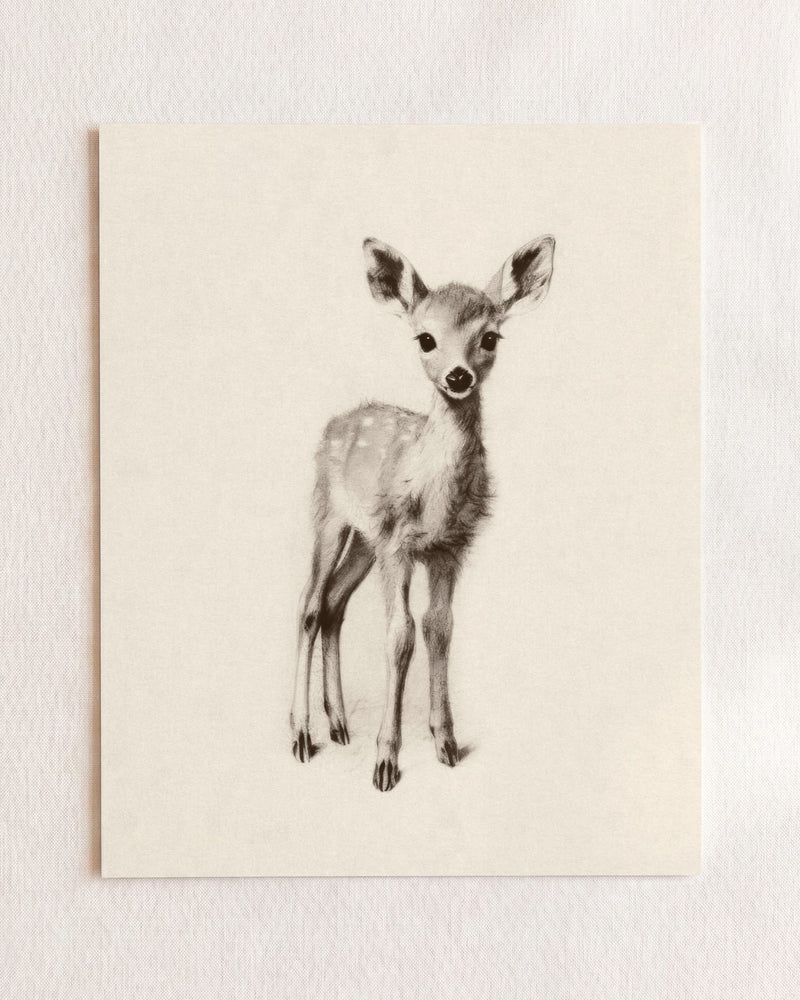 Deer