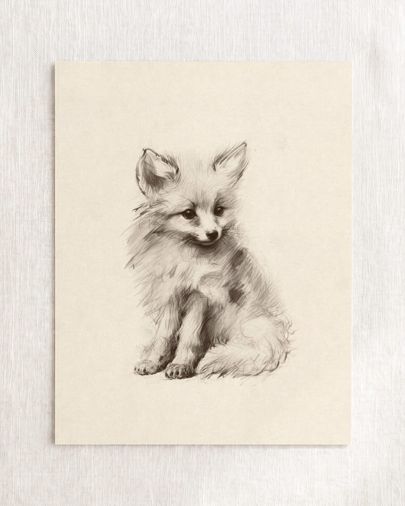 Fox